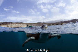 In tenerife by Samuel Gallego 